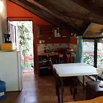 Sol Dorado