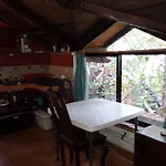 Sol Dorado