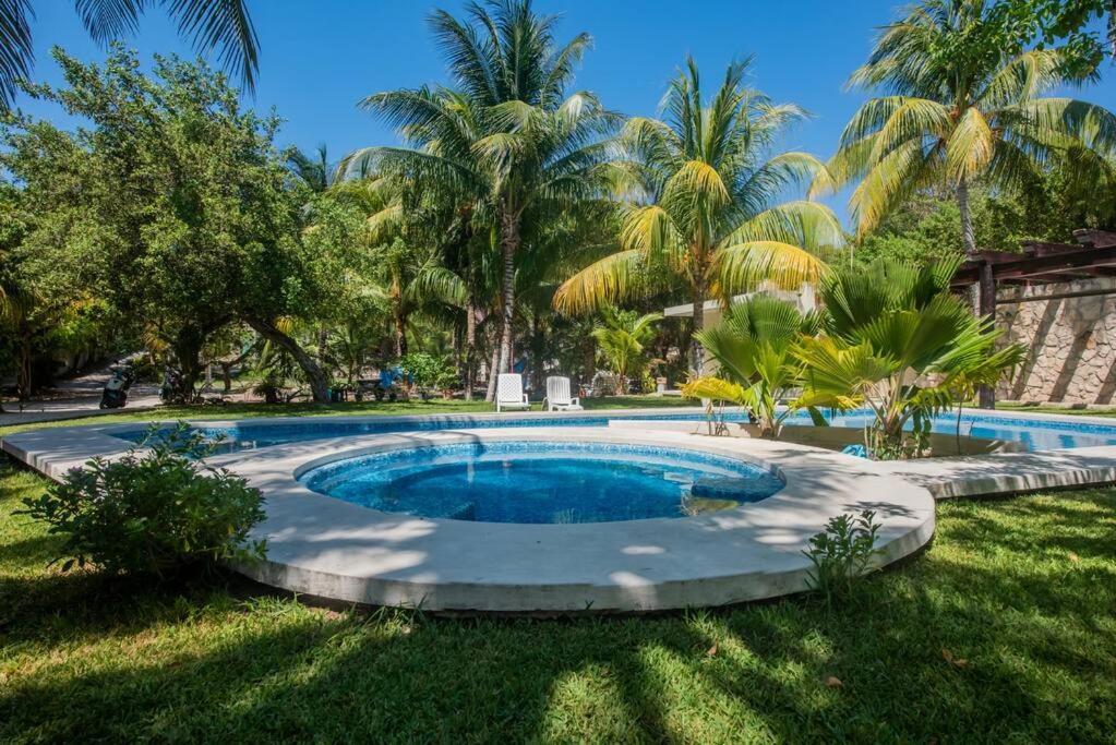 Apartment Beachfront Next To Nomads D1 Isla Mujeres