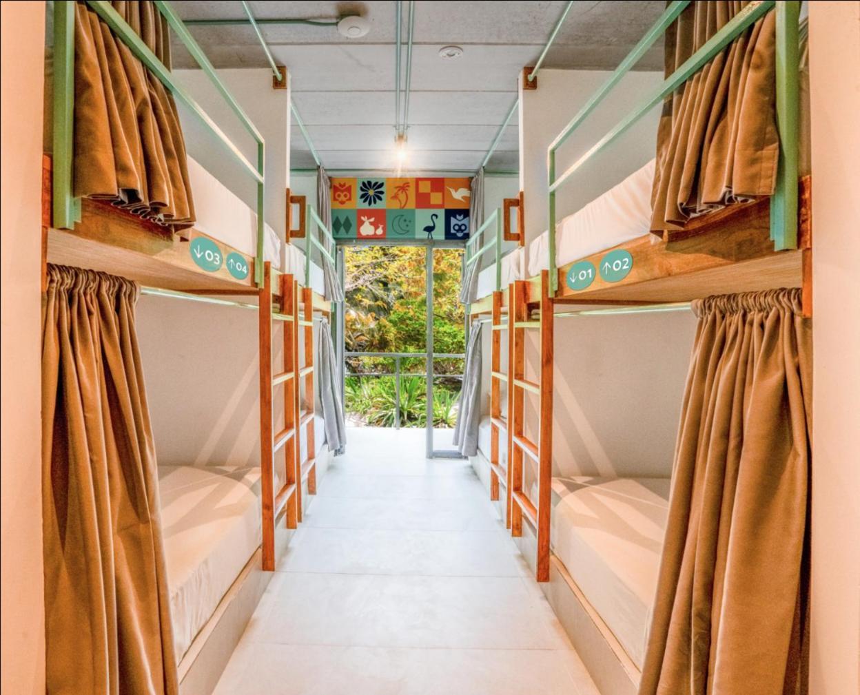 Hotel Mayan Monkey - Social (adults Only) Isla Mujeres