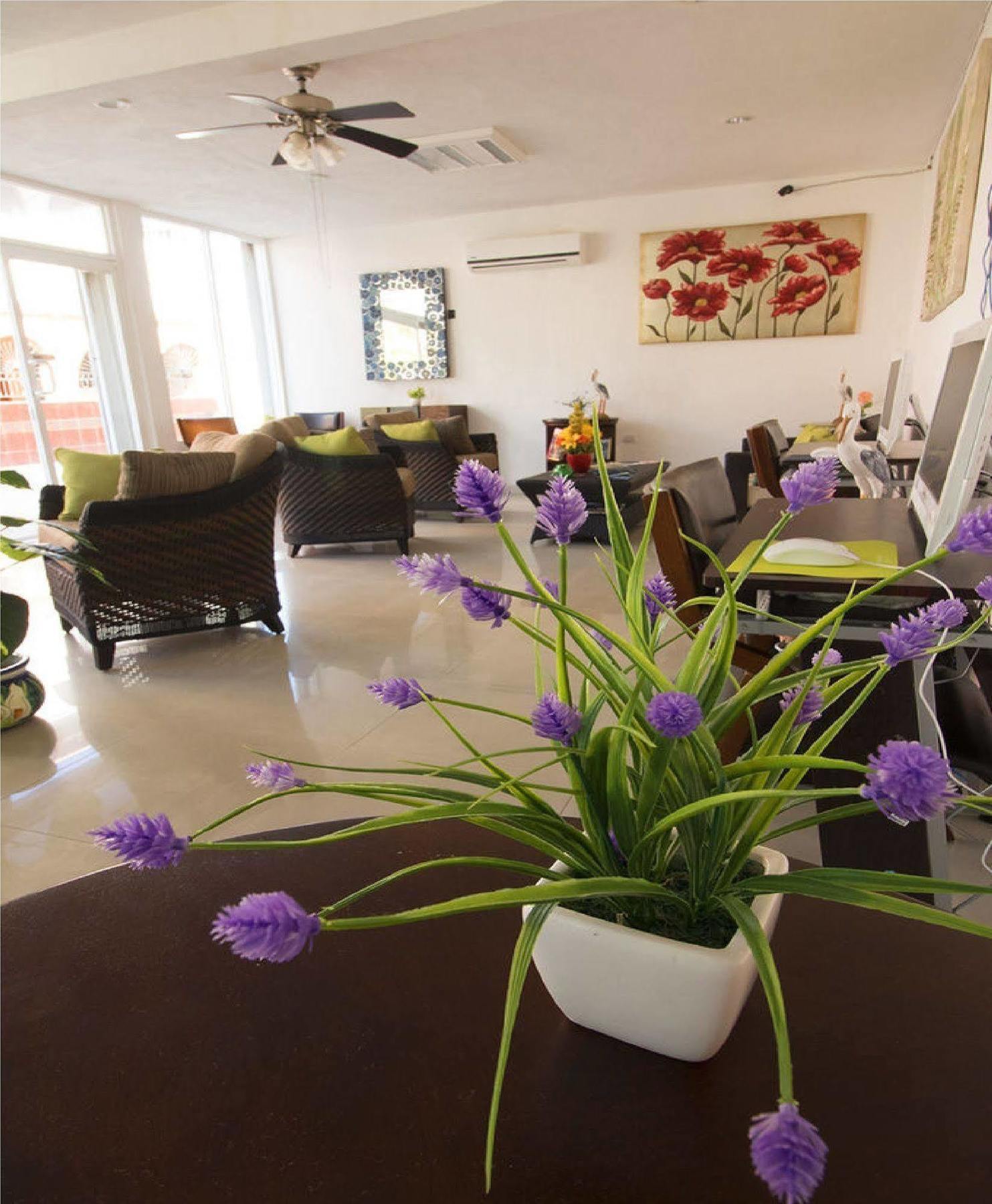 Isleño Hotel 3*