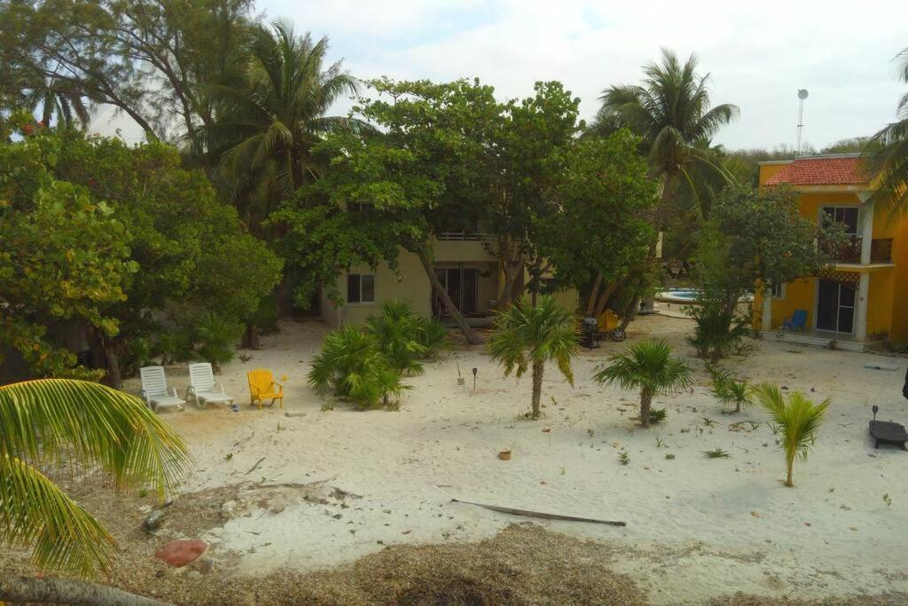 Apartment Marysol Beachfront Next To Nomads D2