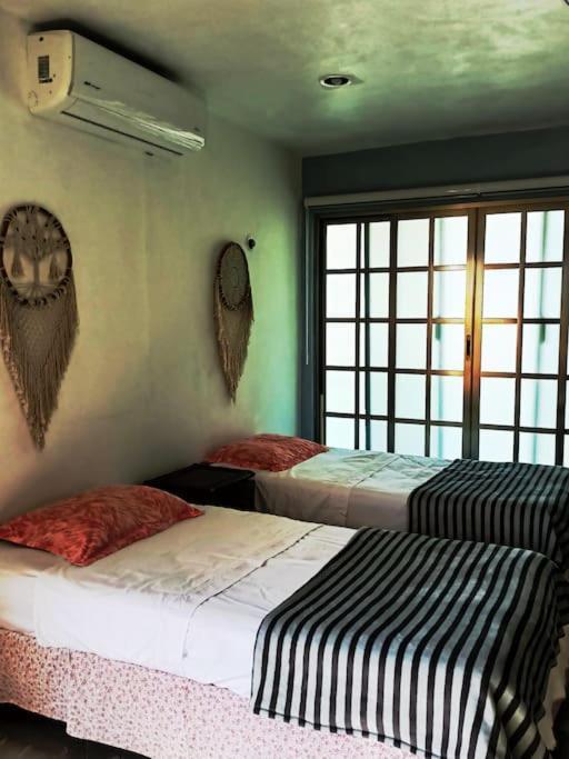 Apartment Casa Salina