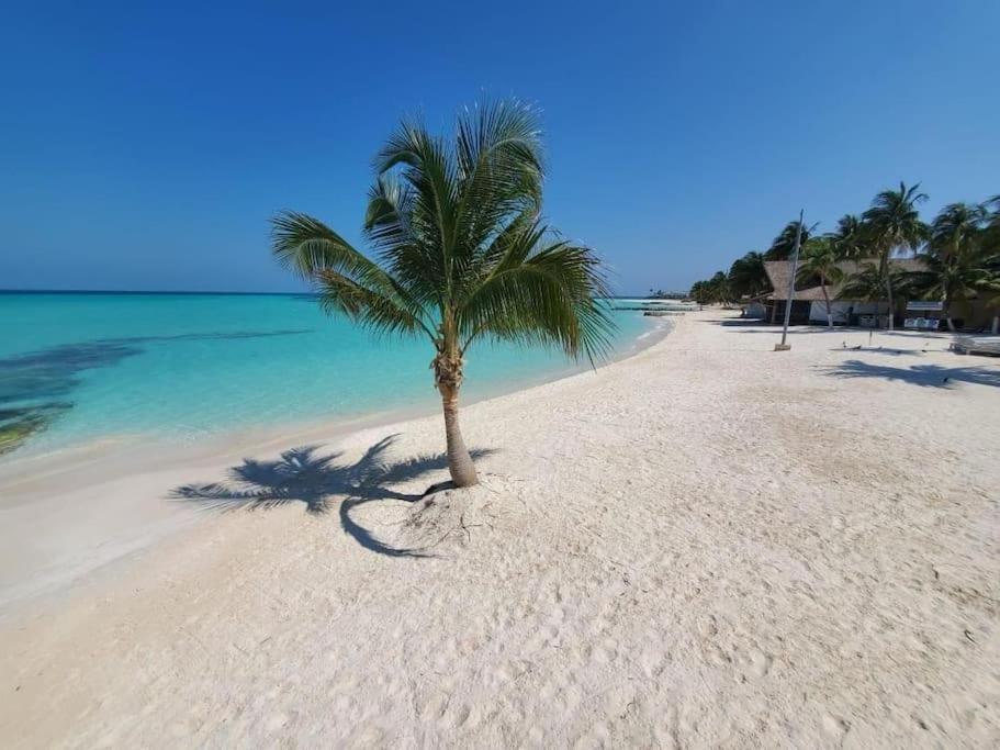 Casa Salina