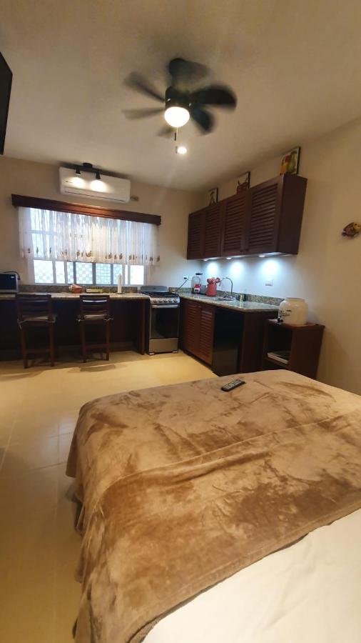 Apartment Coralito Malecon Luxury