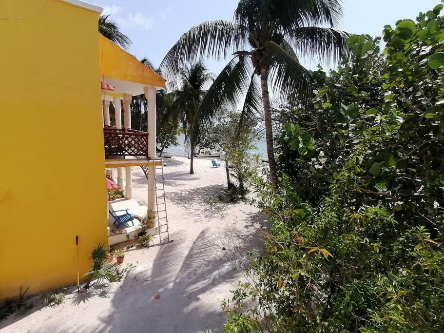 Marysol Great Views Beachfront Next To Nomads D3 Apartment