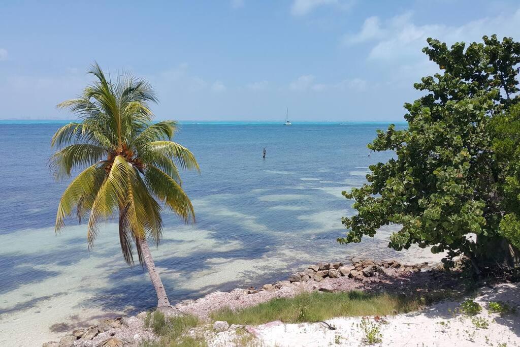 Marysol Great Views Beachfront Next To Nomads D3 Apartment