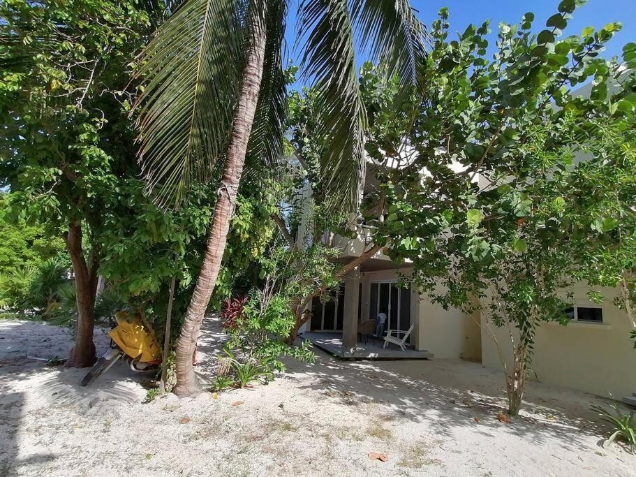Marysol Great Views Beachfront Next To Nomads D3 Apartment *