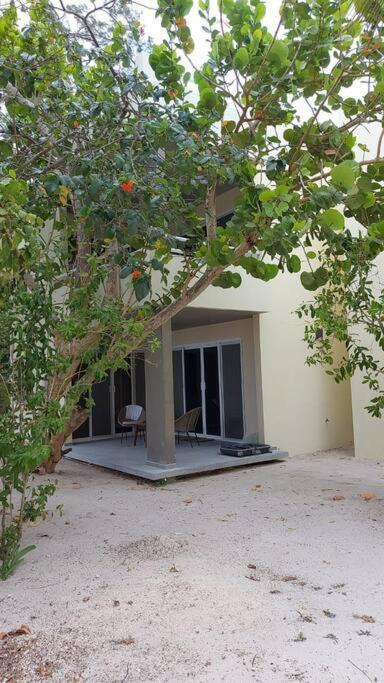 Marysol Great Views Beachfront Next To Nomads D3 Apartment Isla Mujeres