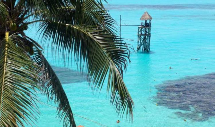 Apartment Mar Y Chelo Luxury Aparments Isla Mujeres