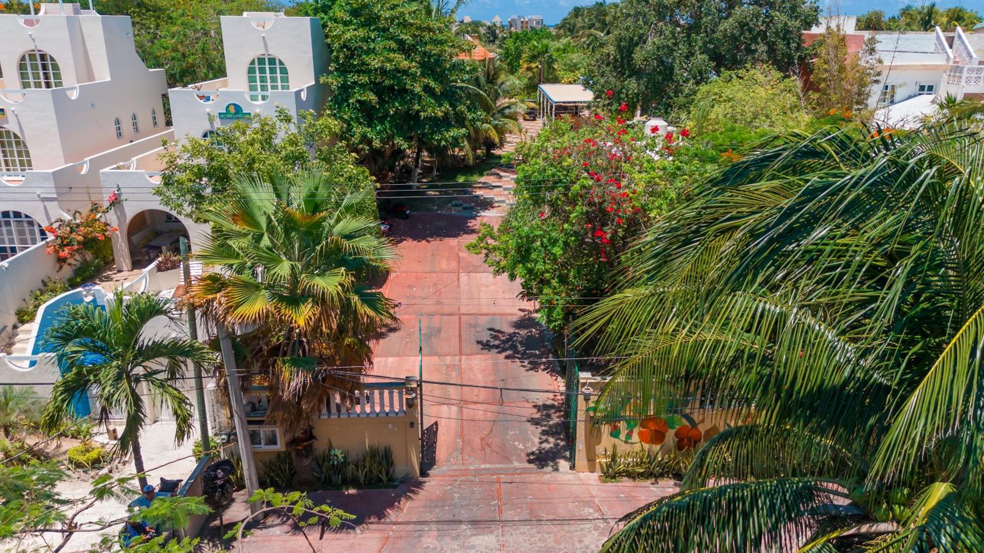 Apartamento Pajaros *