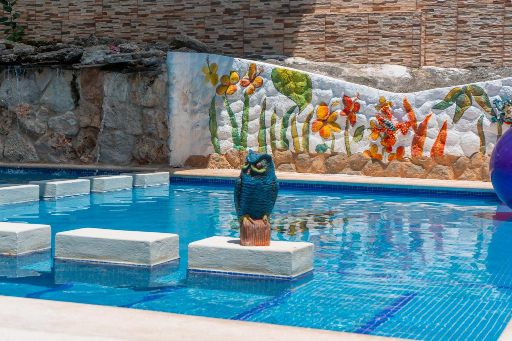 Pajaros *