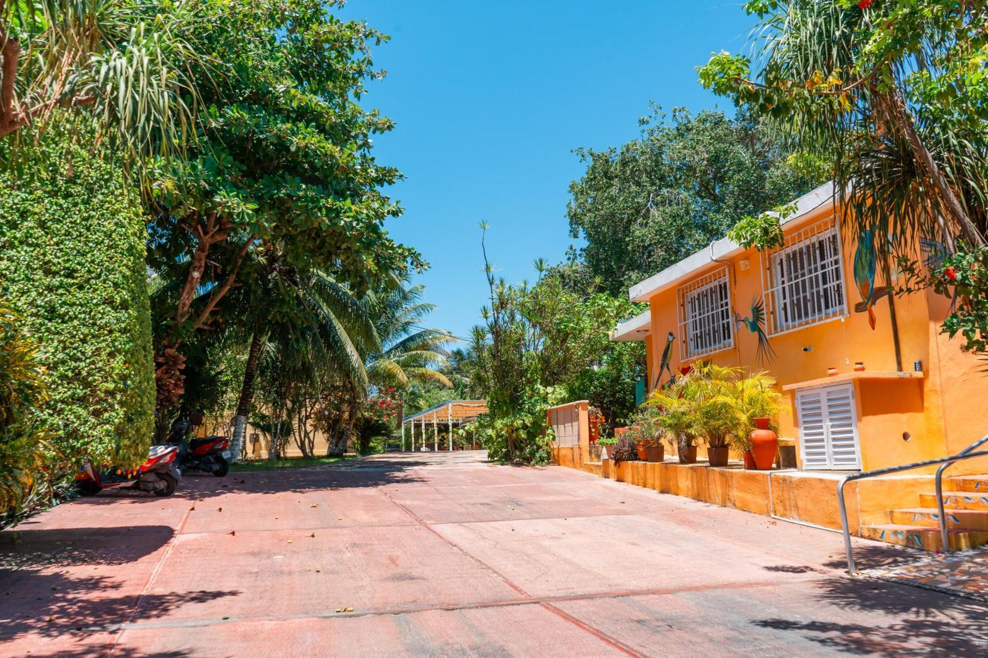 Pajaros Apartamento