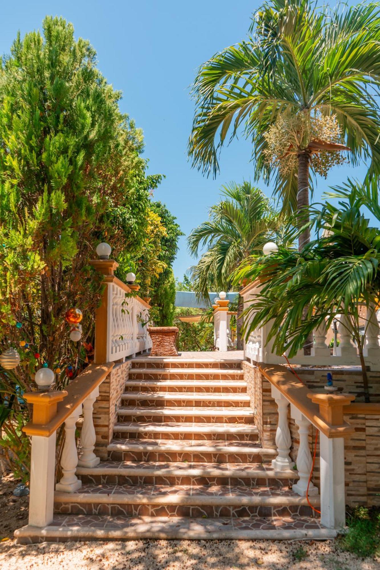 Pajaros Apartamento Ilha das Mulheres