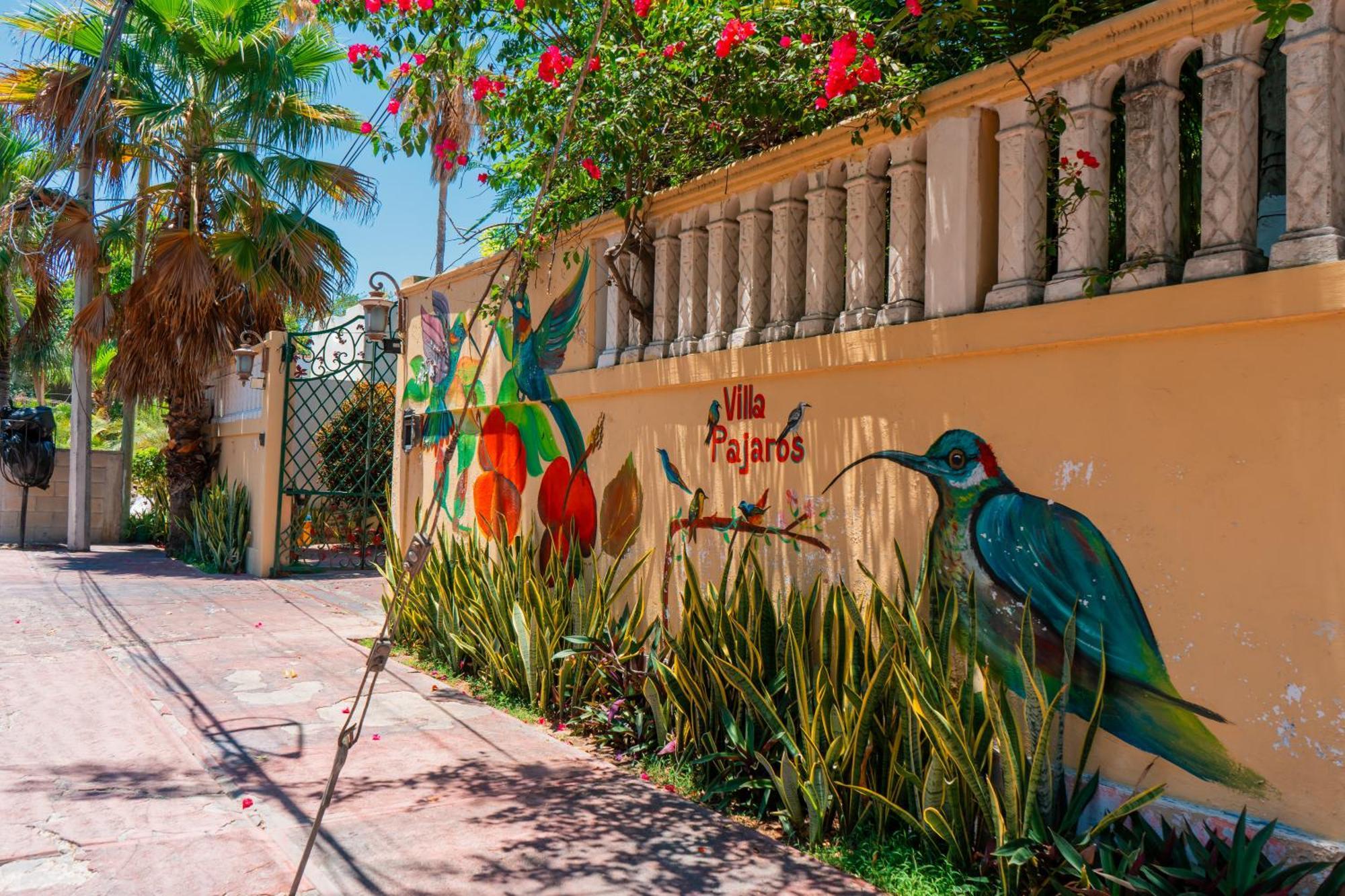 Apartamento Pajaros