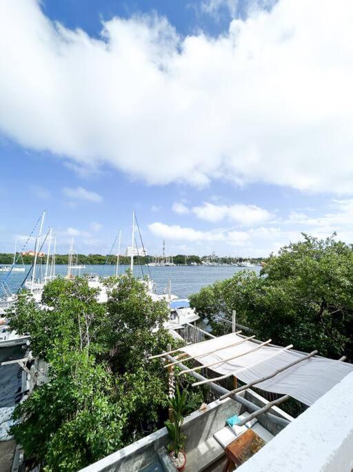 Loft Con Hermosa Vista, Terraza Y Wifi Starlink!