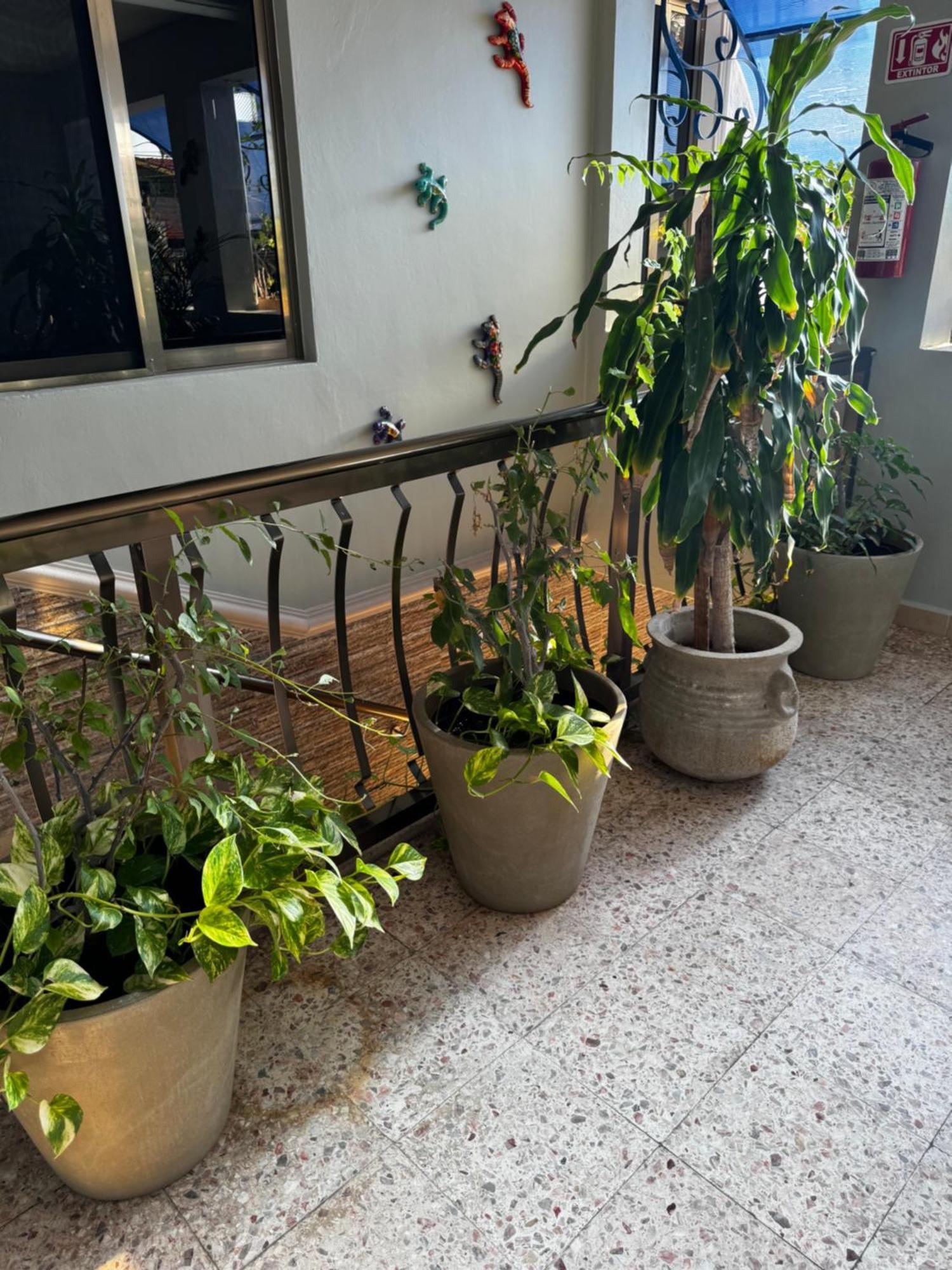 Apartment Casa Lunamar