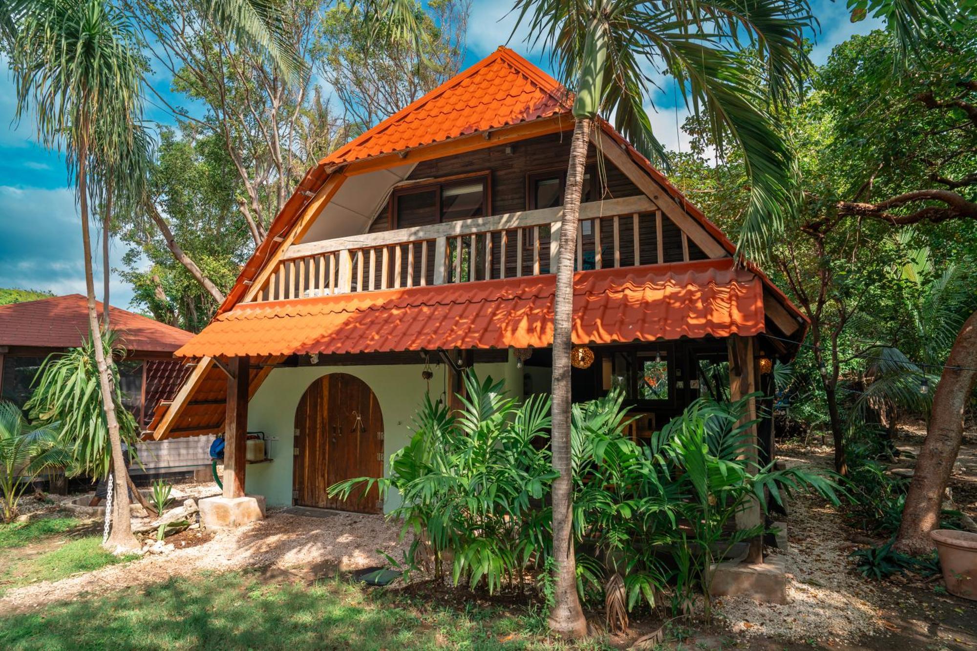 Chechen, Wooden In Tropical Garden Isla Mujeres