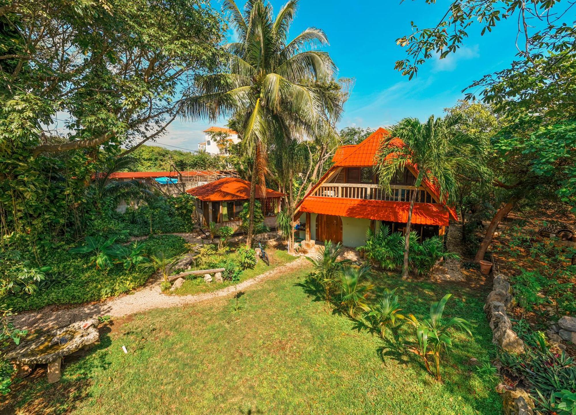 Chechen, Wooden In Tropical Garden