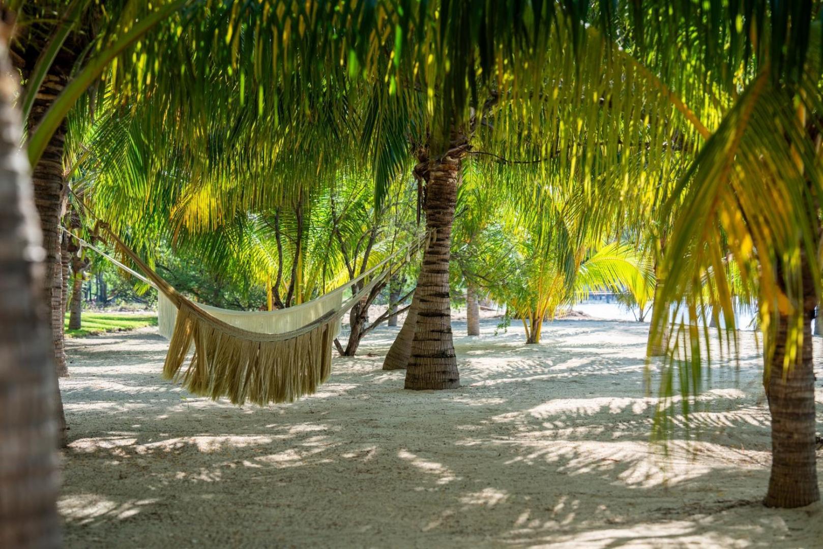 4br Luxury Beachfront W/ Heated Pool Apartment Isla Mujeres