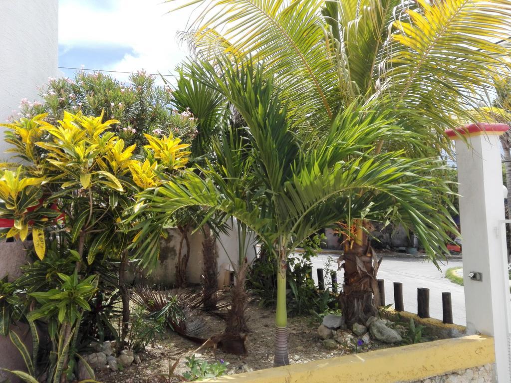 Casa Mia * Isla Mujeres