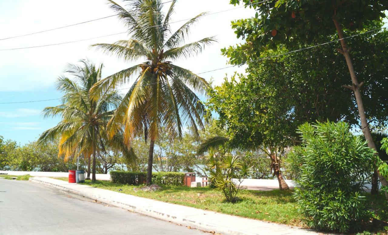 Mi Alegria Studio Ilha das Mulheres