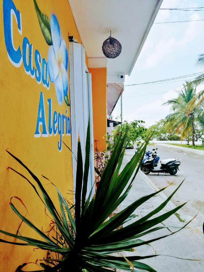 Mi Alegria Studio * Ilha das Mulheres