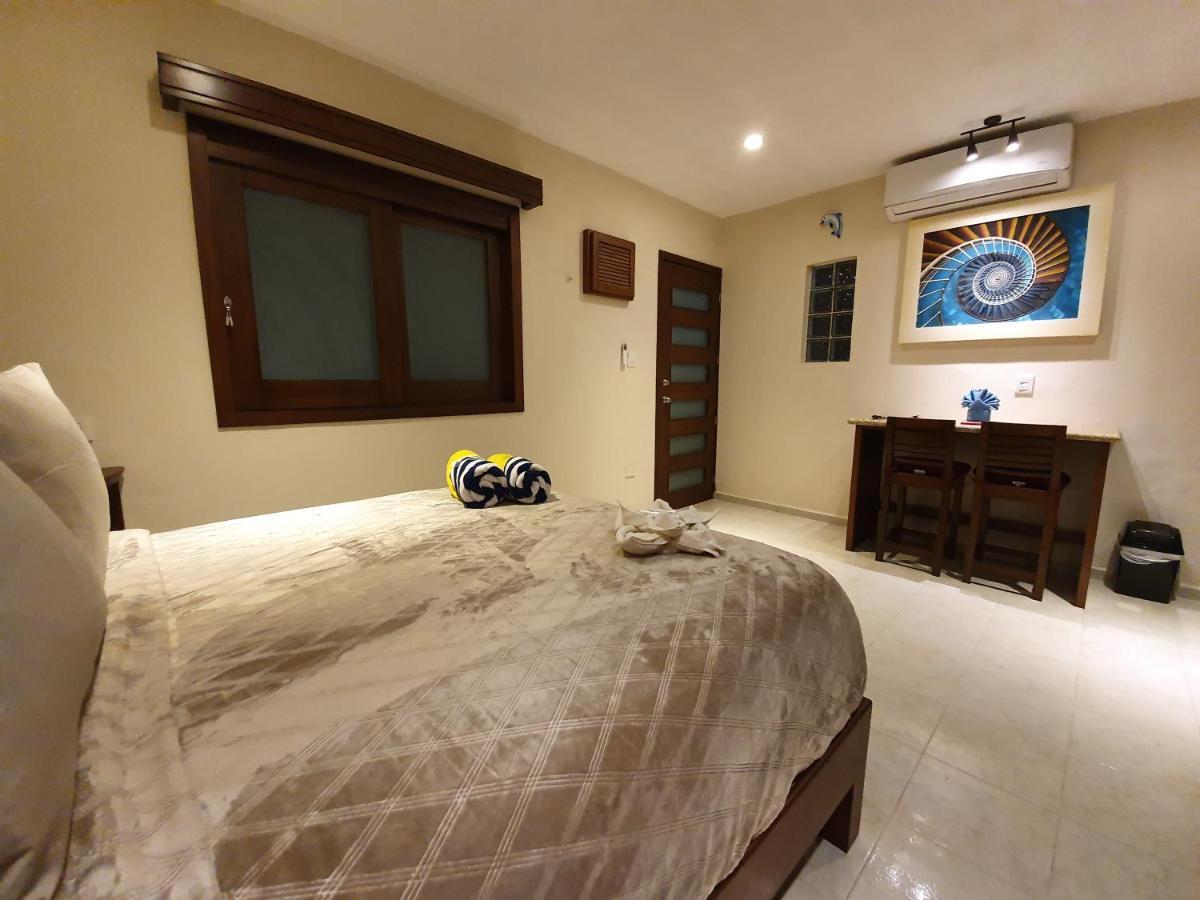 Apartment Coralito Malecon Luxury *