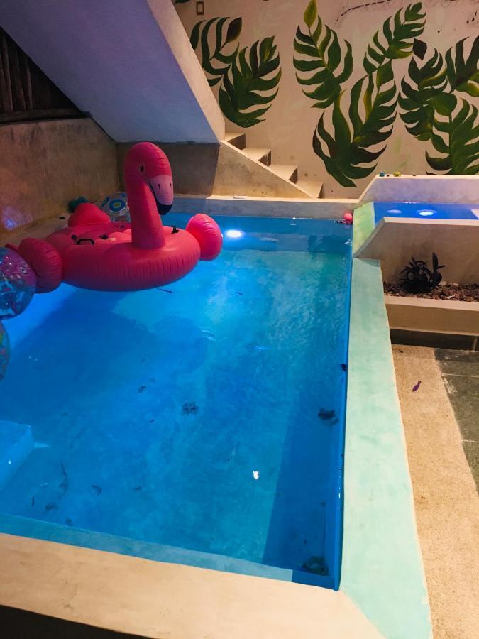 Aparthotel Casa Flamingo *